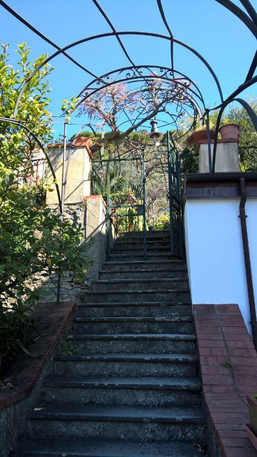 La Depandance Della Nonna Apartment คาโมยลี ภายนอก รูปภาพ